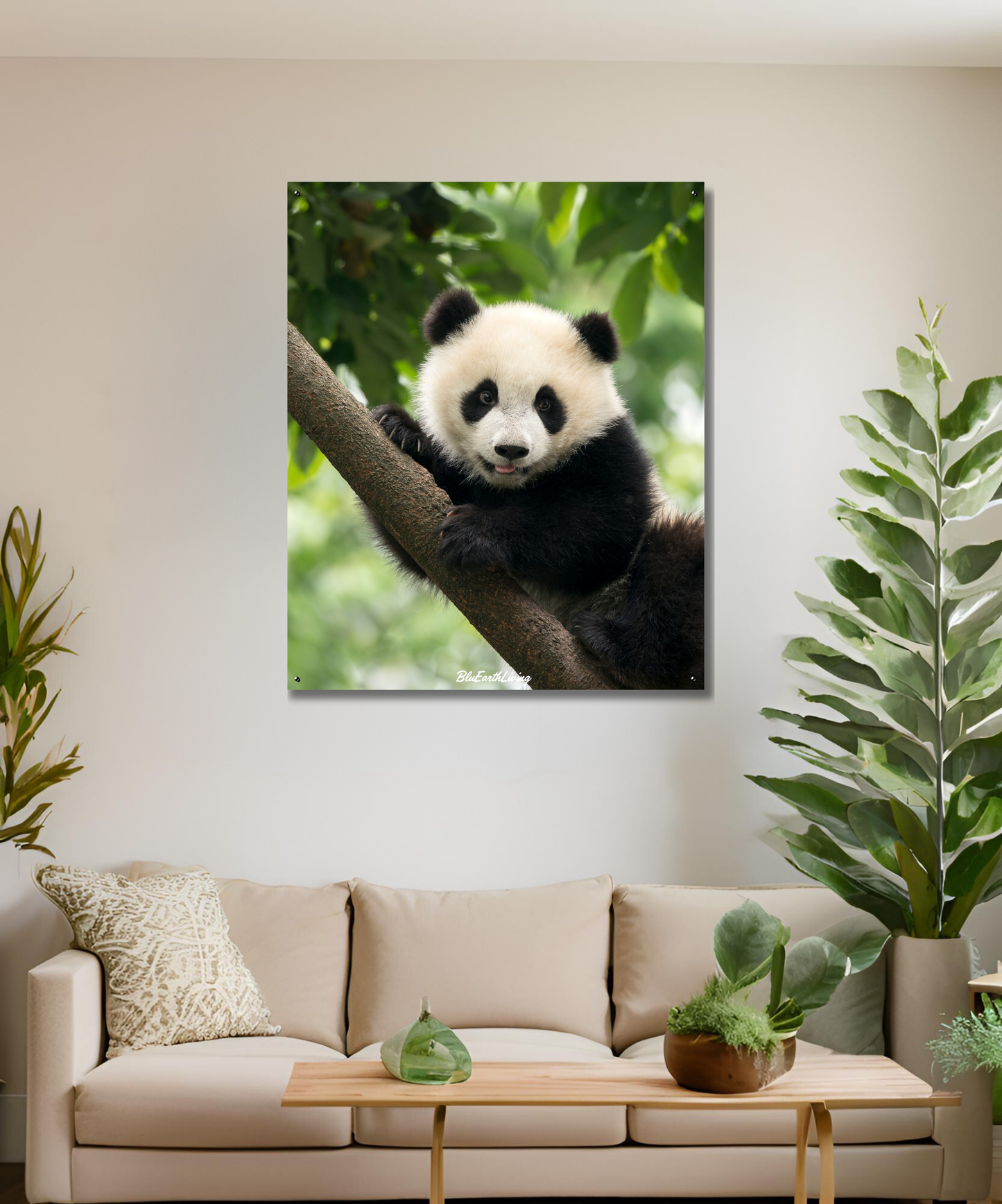 Panda Wall Art 'Pak me dan als je kan'