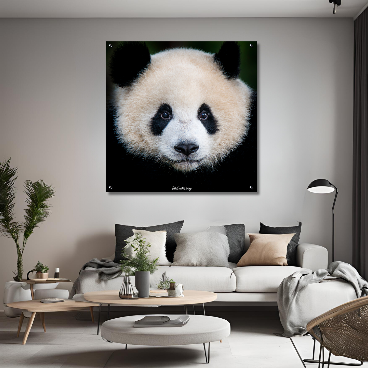 Panda Wall Art 'Kijk eens naar het vogeltje'